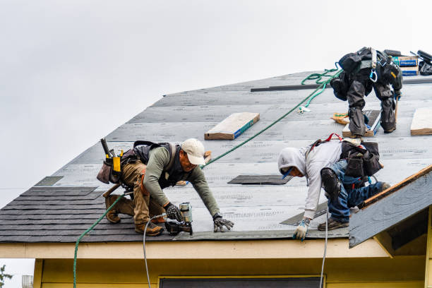 Professional Emergency Roof Repair technician working in Sheridan, TX